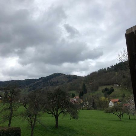 Ferienwohnung Petit Week End Dans La Vallee Breitenbach-Haut-Rhin Exterior foto