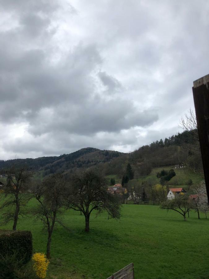 Ferienwohnung Petit Week End Dans La Vallee Breitenbach-Haut-Rhin Exterior foto