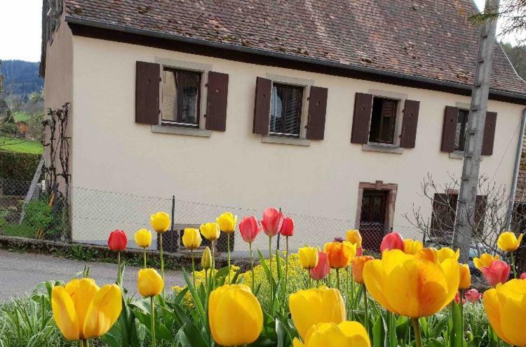 Ferienwohnung Petit Week End Dans La Vallee Breitenbach-Haut-Rhin Exterior foto