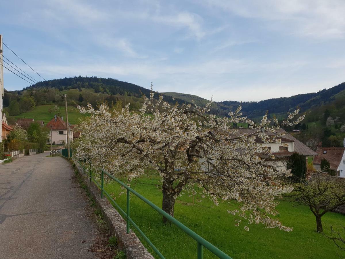 Ferienwohnung Petit Week End Dans La Vallee Breitenbach-Haut-Rhin Exterior foto