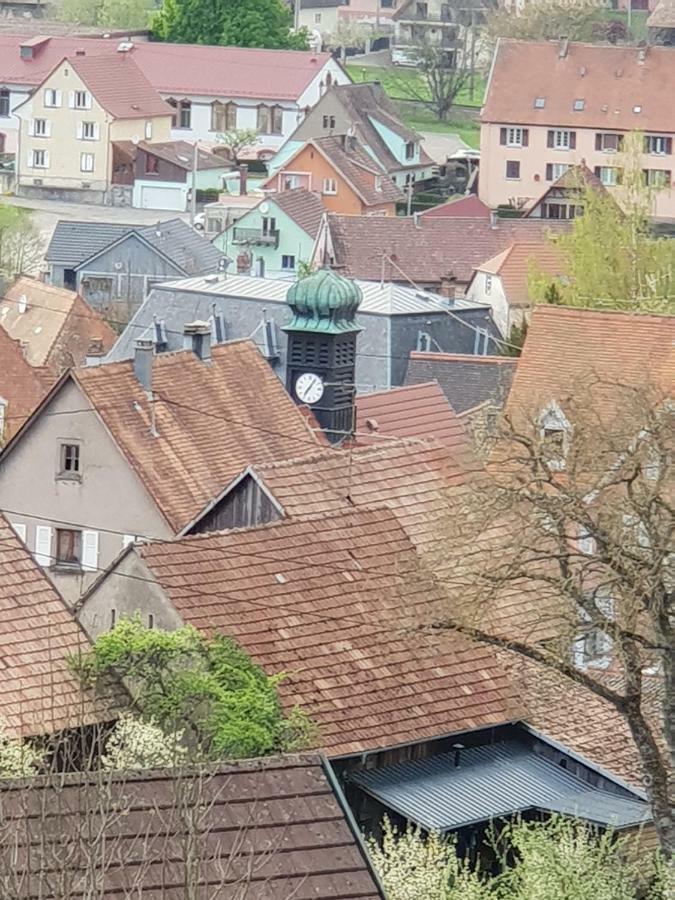 Ferienwohnung Petit Week End Dans La Vallee Breitenbach-Haut-Rhin Exterior foto