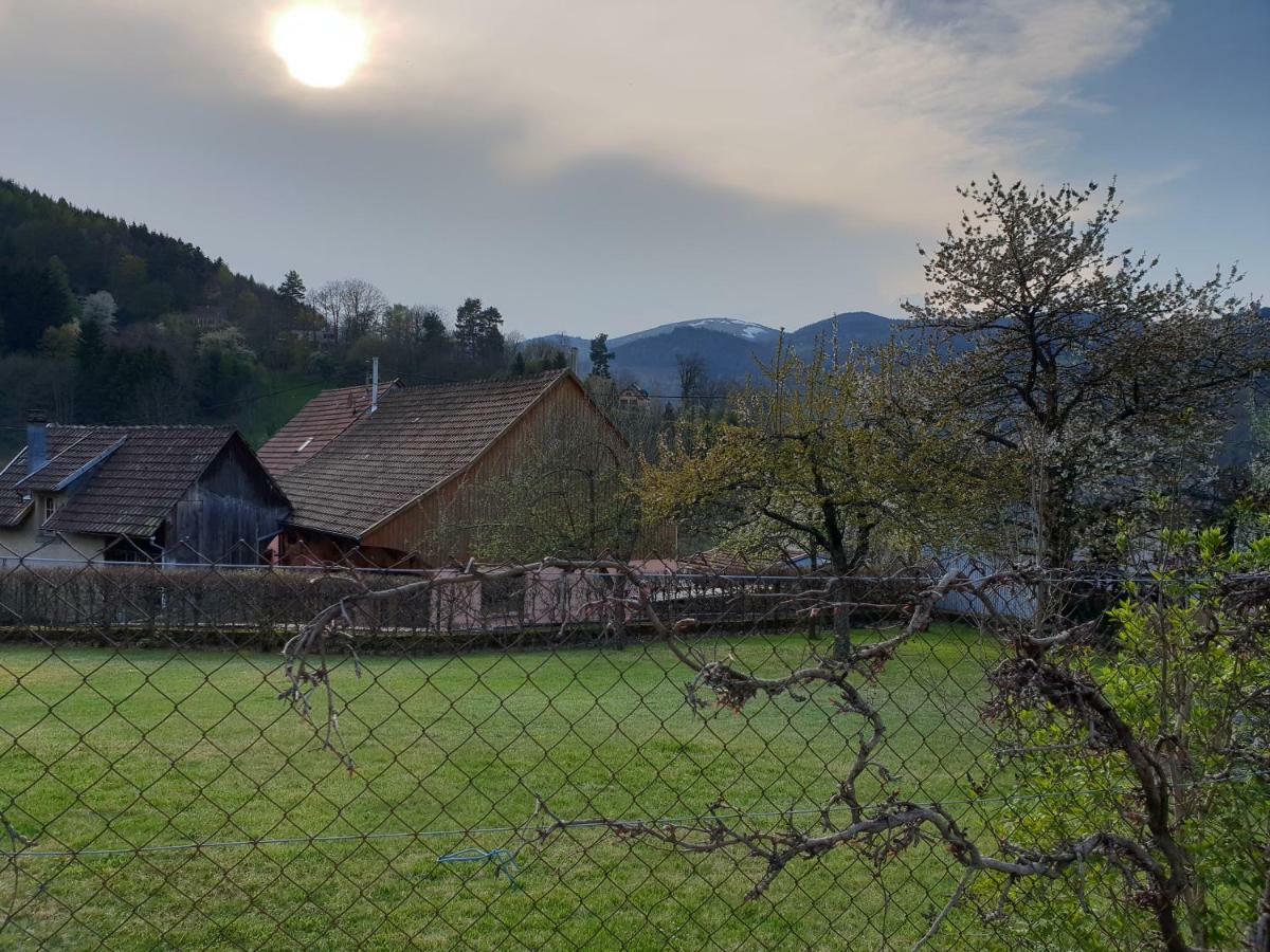 Ferienwohnung Petit Week End Dans La Vallee Breitenbach-Haut-Rhin Exterior foto