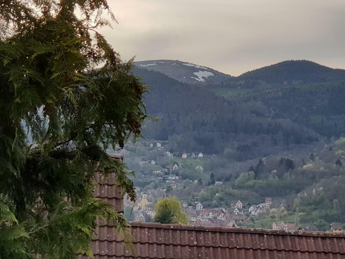 Ferienwohnung Petit Week End Dans La Vallee Breitenbach-Haut-Rhin Exterior foto