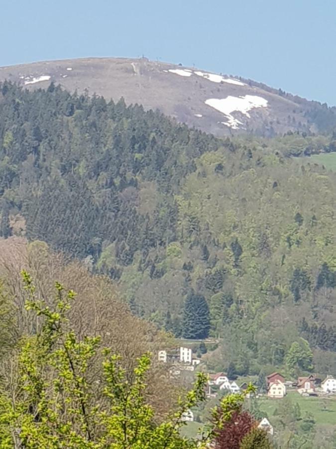 Ferienwohnung Petit Week End Dans La Vallee Breitenbach-Haut-Rhin Exterior foto