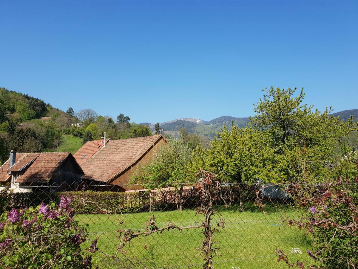 Ferienwohnung Petit Week End Dans La Vallee Breitenbach-Haut-Rhin Exterior foto