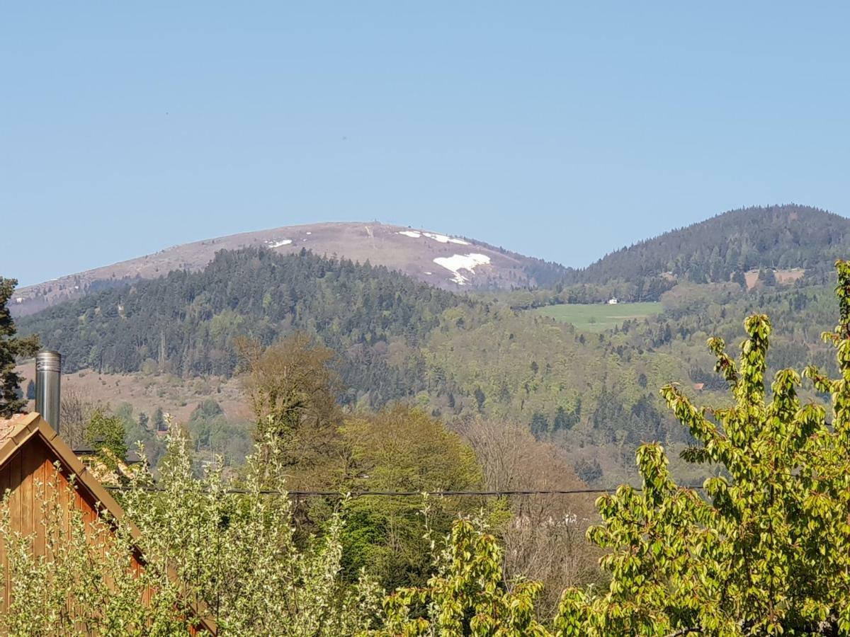 Ferienwohnung Petit Week End Dans La Vallee Breitenbach-Haut-Rhin Exterior foto