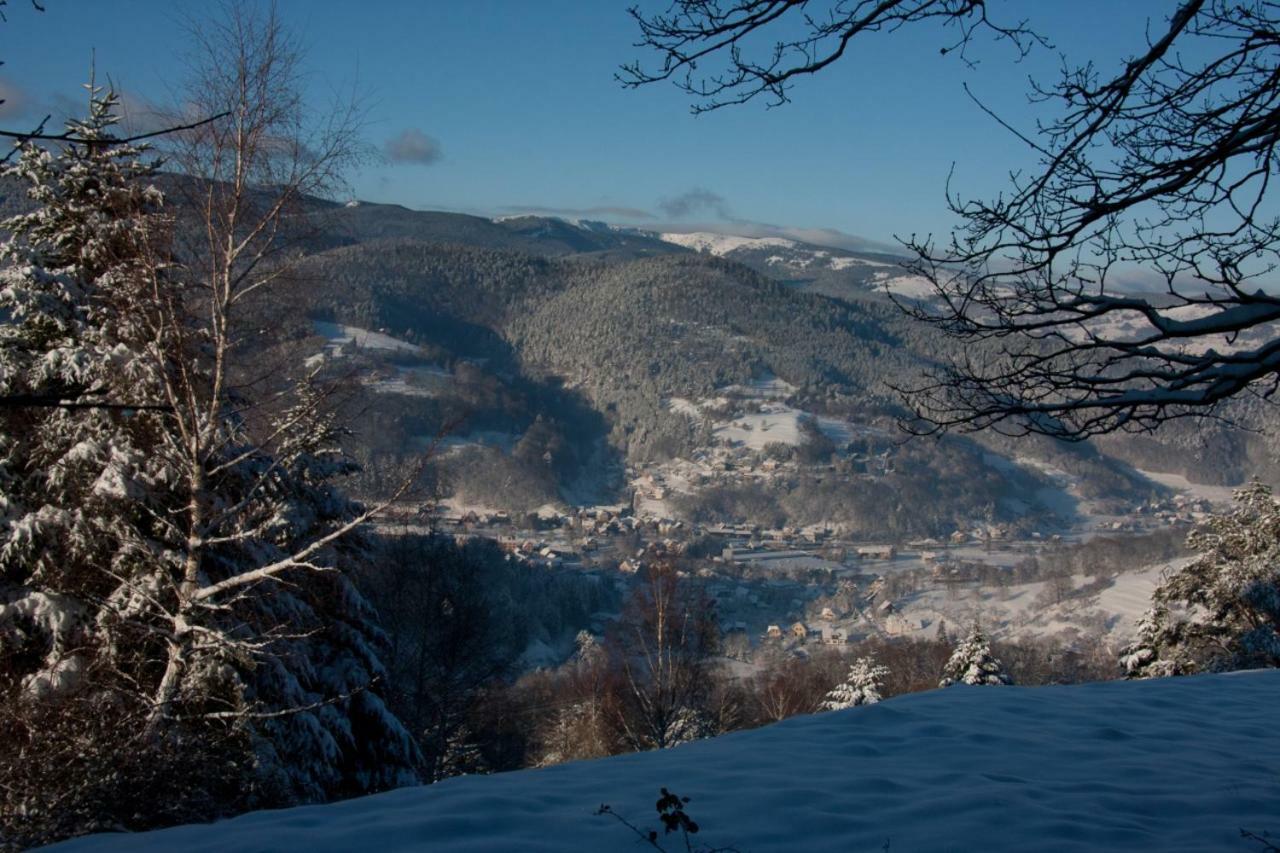 Ferienwohnung Petit Week End Dans La Vallee Breitenbach-Haut-Rhin Exterior foto