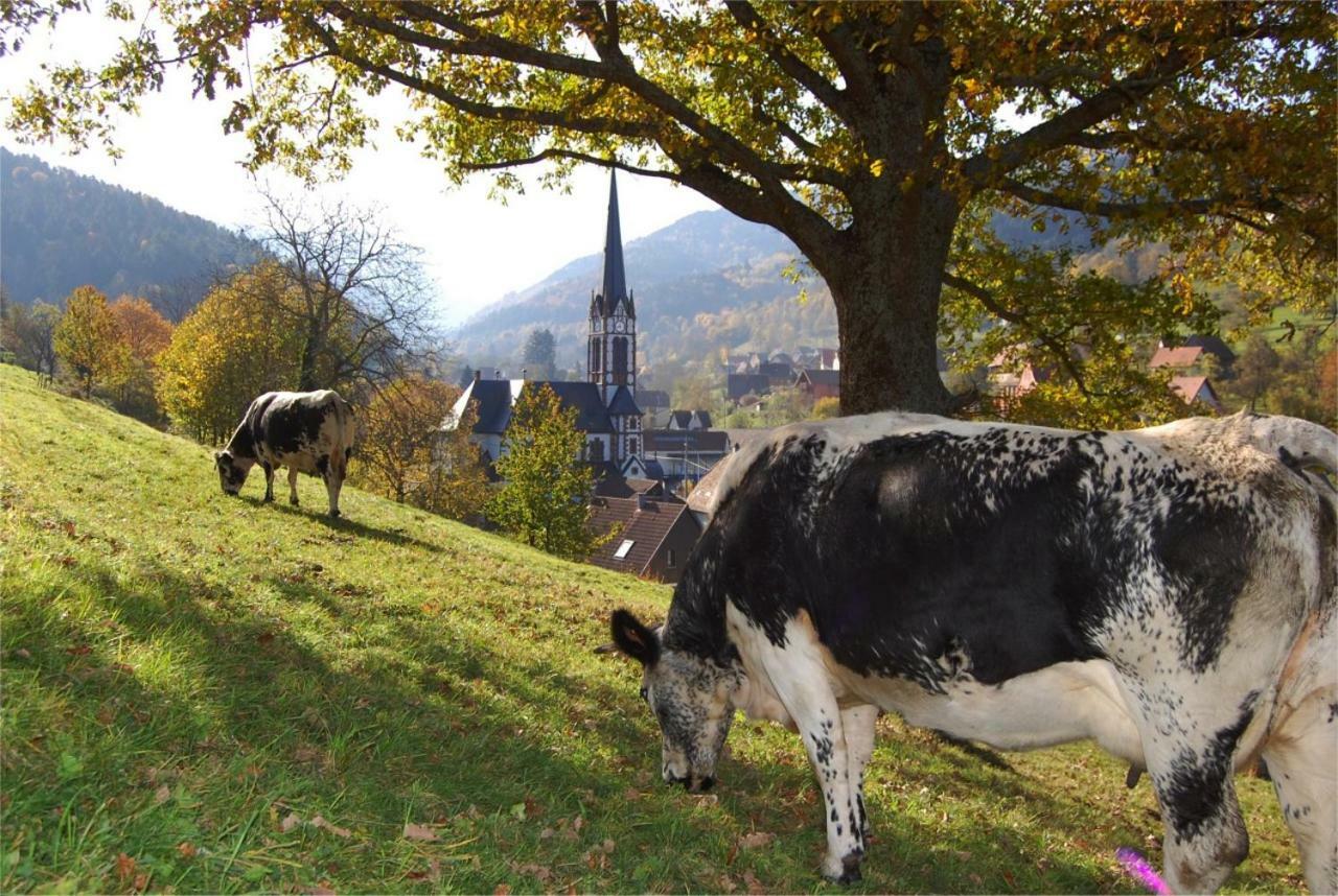 Ferienwohnung Petit Week End Dans La Vallee Breitenbach-Haut-Rhin Exterior foto