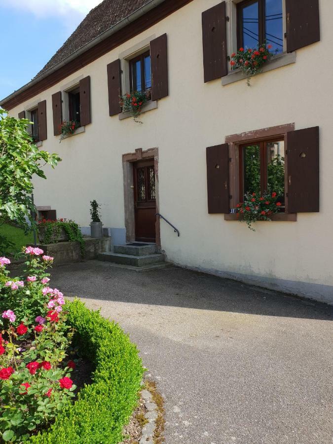 Ferienwohnung Petit Week End Dans La Vallee Breitenbach-Haut-Rhin Exterior foto