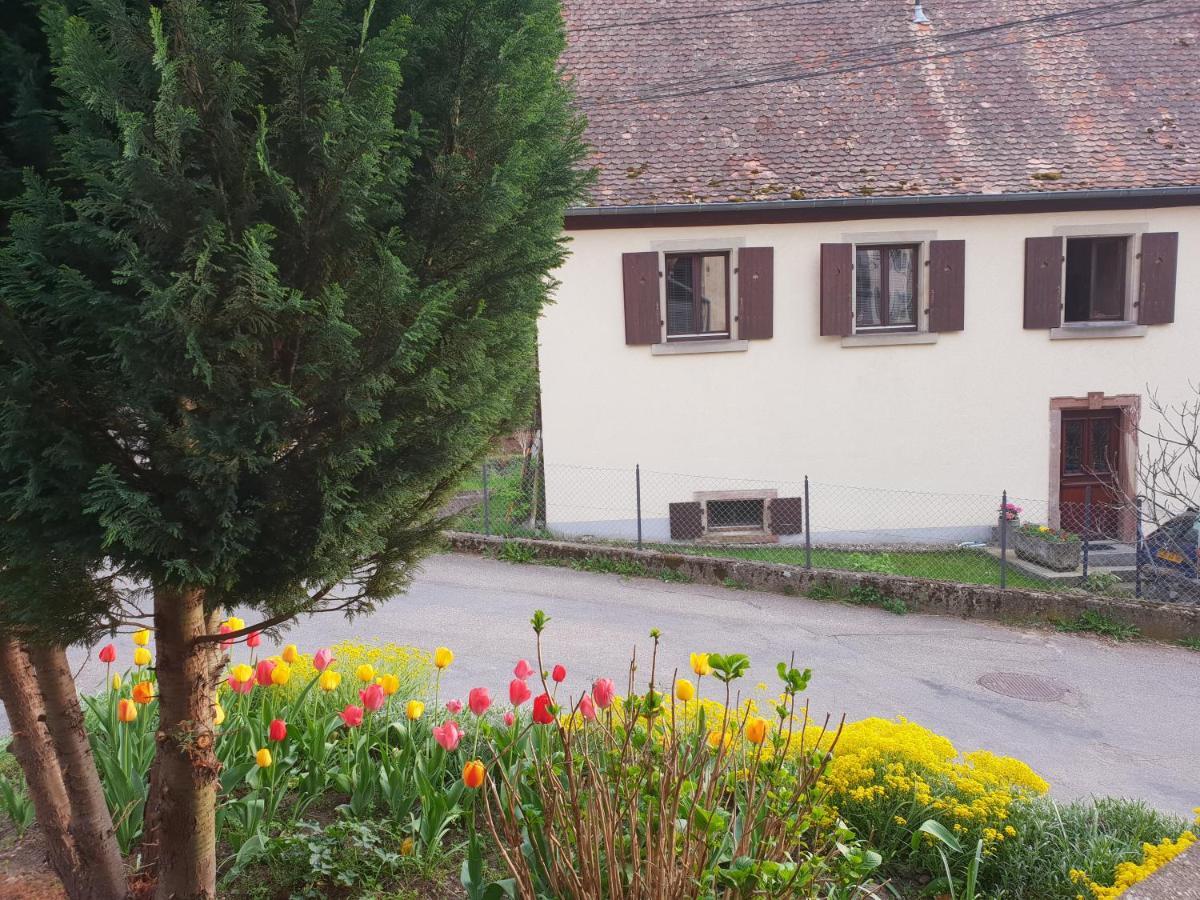 Ferienwohnung Petit Week End Dans La Vallee Breitenbach-Haut-Rhin Exterior foto