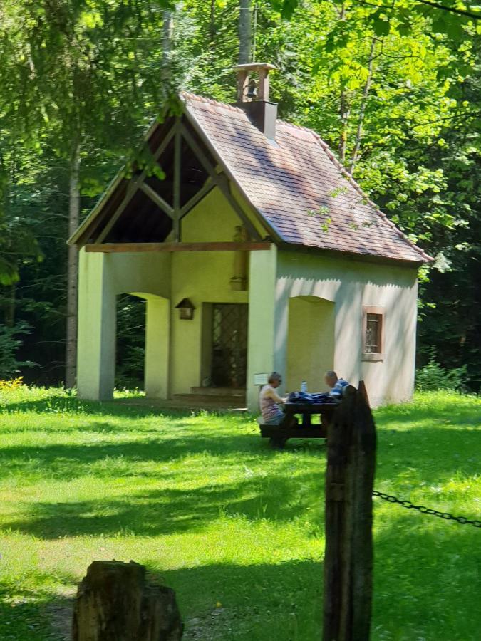 Ferienwohnung Petit Week End Dans La Vallee Breitenbach-Haut-Rhin Exterior foto